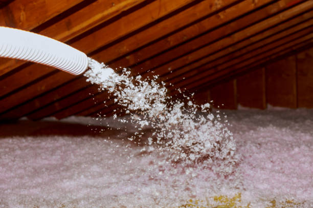 Best Cellulose Insulation  in Corinth, TX