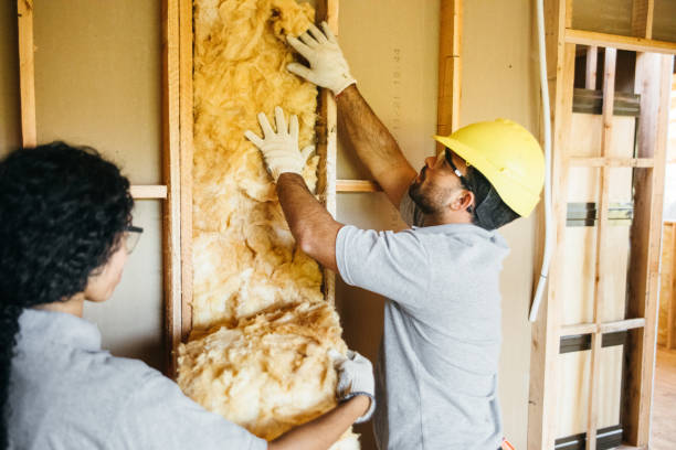 Best Wall Insulation Contractor  in Corinth, TX