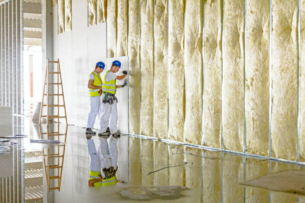 Best Insulation Removal  in Corinth, TX